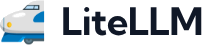 LiteLLM